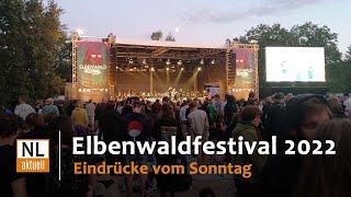 Elbenwald Festival 2022  Sonntag [upl. by Etnuhs]