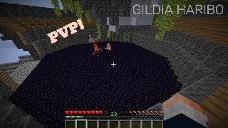 GILDIA HARIBO  Walka na Arenie PvP [upl. by Millicent71]