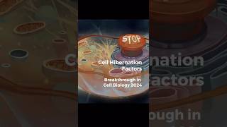 Breakthrough in Cell 🦠Biology Hibernation Protein 🧬 Balon [upl. by Adnilra736]