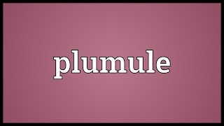 Plumule Meaning [upl. by Hepsoj885]