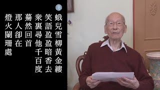 辛棄疾 青玉案 陳魯慎教授主講 [upl. by Llenrag]