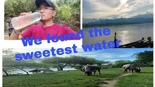 Hidden Beauty Of Kachen VillageMyanmarTravel Vlog [upl. by Nerej871]