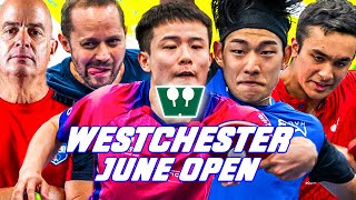 Westchester Table Tennis Center June Open Highlights Ft Major League Table Tennis Commissioner [upl. by Tirza]