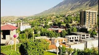 شارع شقلاوة Where the beauty of nature meets city streets [upl. by Orodoet]