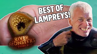 The BEST OF LAMPREYS  COMPILATION  River Monsters [upl. by Nert]