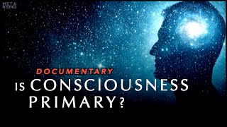 Is Consciousness Primary to Reality Documentary [upl. by Funda]