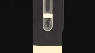 Testing For Carboxylic Acids  Sodium Carbonate [upl. by Arrek]