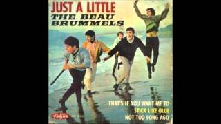 The Beau Brummels  Just A Little [upl. by Hilliard]