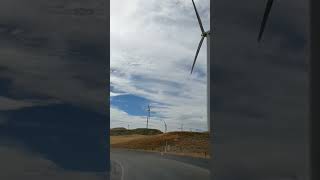 Wind Farm in newzealand [upl. by Suinotna]