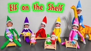 Elf on the Shelf 2020 All Colors Elf on the Shelf and Elf Babies [upl. by Ylrevaw]