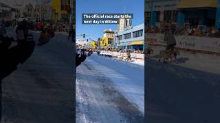 Iditarod Sled Dog Race Ceremonial Start in Anchorage [upl. by Philo]