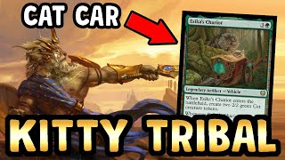 🐱 ESIKAS CHARIOT is what CAT TRIBAL always wanted 【 MTG Modern 】 [upl. by Arol]