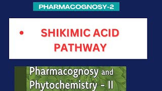 Shikimic acid pathway  significance of shikimic acid pathway  Pharmacognosy2 unit1 [upl. by Hosfmann278]