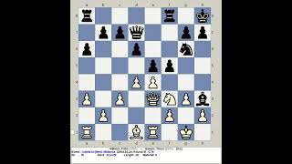 Nijboer Friso vs Gareev Timur  Calvia Chess Olympiad 2004 Mallorca Spain [upl. by Eecrad500]