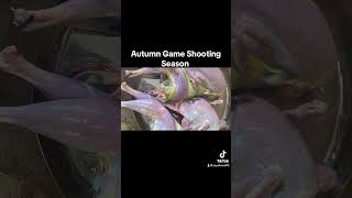 Autumn Game Shooting Pheasant BBQ [upl. by Woodie886]