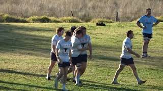 Lions v Narrabri first grade tries today [upl. by Alarice]