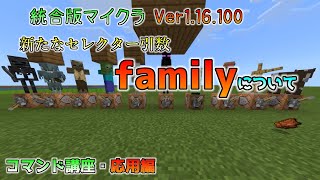 統合版マイクラ新たなセレクター引数～family～について ～コマンド講座・応用編～ Ver116100 [upl. by Burgener]