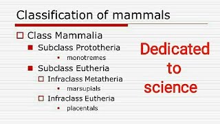 Prototheria metatheria and Eutheria with Examples [upl. by Dnomhcir]