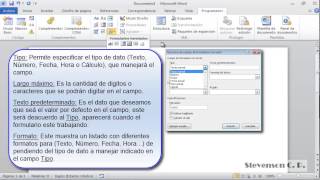 Word Formularios  Conceptos básicos y propiedades de controles heredados [upl. by Essile]