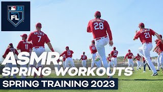 ASMR Spring Training 2023  St Louis Cardinals [upl. by Ola477]