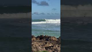 Haleiwa set this morning surfing hawaii northshore surf set waves wsl [upl. by Yablon906]