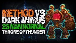 Method vs Dark Animus 25 Normal [upl. by Larine]