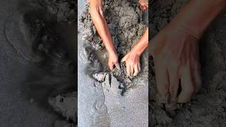 This man saved a turtle 😮🔥shorts [upl. by Eeramit539]