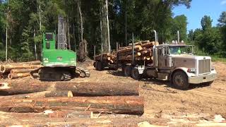 Loading pine pulpwood on a Peterbilt log truck [upl. by Inobe]