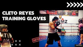 Cleto Reyes Training Gloves Review [upl. by Anaitsirc560]