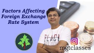 Factors Affecting Foreign Exchange Rate System in Hindi [upl. by Mccreery]