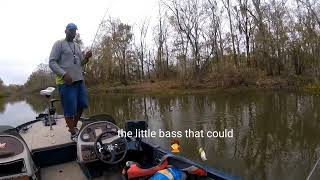 A little crappie madness quotAtchafalya Basin quot [upl. by Bertine]