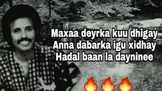 HEES  Daandaansi Caashaq  Maxamed Mooge Liibaan  Lyrics [upl. by Donavon]