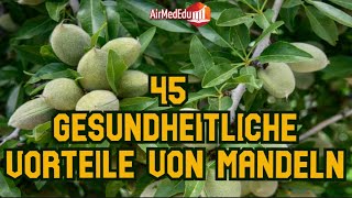 45 gesundheitliche Vorteile von Mandeln [upl. by Itsim169]