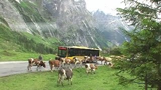 Crossing the Grosse Scheidegg pass [upl. by Mandy476]