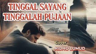 Lagu POP melayu  TINGGALAH KENANGAN  cover Ridho lumud [upl. by Ellerihs]