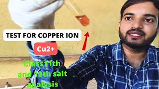 Test for copper Cu2 ion salt analysis for cation class12thpractical a2zpractical991 [upl. by Ariaic]