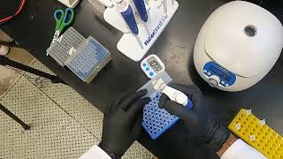 DNA Extraction [upl. by Nyloc]