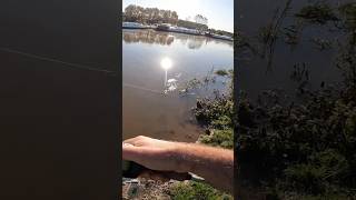 Straight margin retrieve for pike lurefishing lure fishing [upl. by Salvidor290]