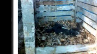 THUMBURMUZHI MODEL COMPOSTING High Definition Video [upl. by Atiuqram556]