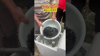 鳜鱼公分苗使用现场鱼苗计数器水产养殖 Pseudopangasius nasutus Penaeus monodon Cyprinus carpio Clarias [upl. by Noir874]