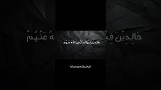 surah Bayyinahpart 03Sheikh Misherey Alafasy trending today recitation new [upl. by Anaillil]