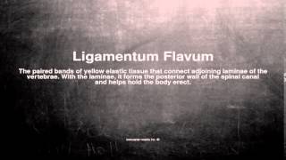 Medical vocabulary What does Ligamentum Flavum mean [upl. by Eidnar]