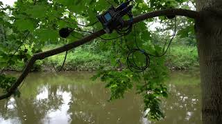 Zoom F3 amp Clippy em272 stereo field recording river atmosphere with birds [upl. by Ennyroc450]