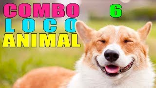 COMBO LOCO ANIMAL 6 [upl. by Dorena953]