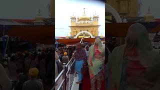 Path Shri Sukhmani Sahib Ji  Ramandeep Kaur Weds Kulvir Singh Bath [upl. by Leta]