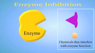 Enzyme Inhibition Competitive vs NonCompetitiveAllosteric [upl. by Haven421]