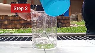 Photosynthesis Experiment with Ingenhousz Theory [upl. by Annuhsal]