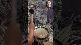 talpatar pakha palm hand fan [upl. by Ahtnammas]