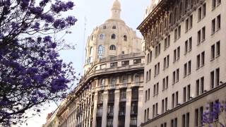 Los Jacarandas de Buenos Aires  un espectáculo en Primavera [upl. by Almond]