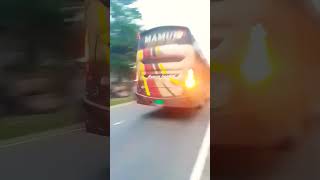 Mamun Ac Bus  😍😍😍 bdbus busbd buslover automobile travel flowers highlights express busdj [upl. by Merfe]